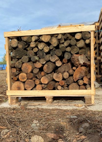 Palette de bois de chauffage mixte, 1 mètre cube, olivier et chêne